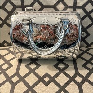 Reflective Louis Vuitton Speedy